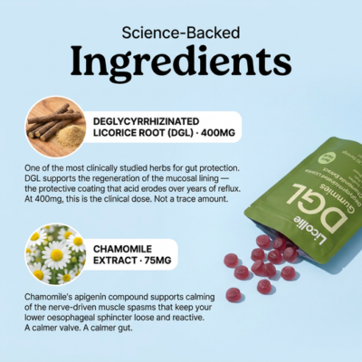 Licollie berry-flavored DGL gummies