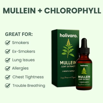 Holivaro Mullein Lung Support Cleanse Drops